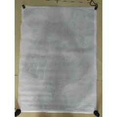 马萨诸塞理工学院 Art diploma